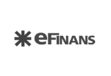 E-FINANS
